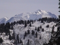 DSC00032-2