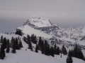 DSC00034-3