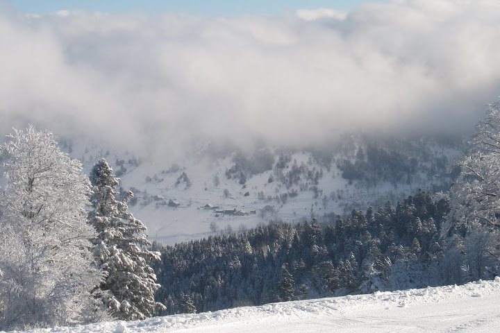 Haut des pistes à Ventron