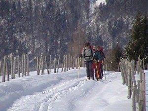 La montée à travers les alpages