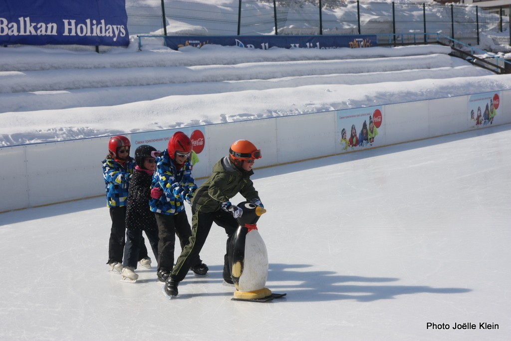 La valse des Pingouins !!!