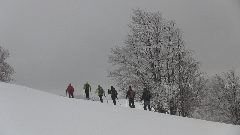 Les mots pour dire la neige - SKI CLUB OXYGENE