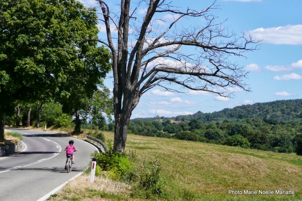 Agathe, on the road again ...