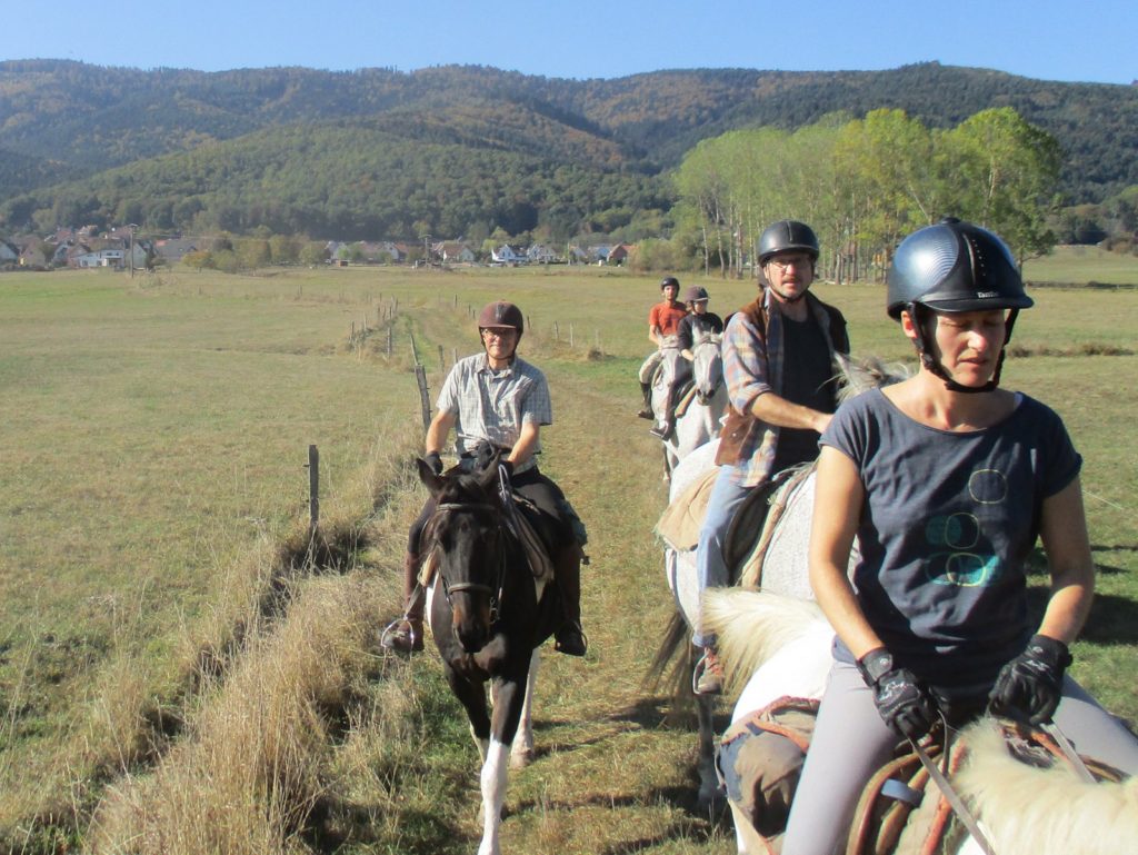 Balade à cheval en Alsace