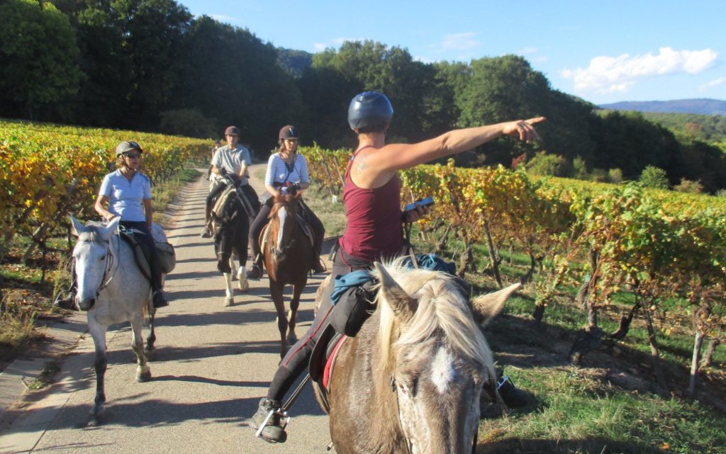 week-end VTT et cheval