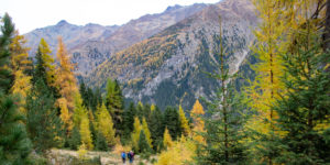 Ski d'automne et randonnées à pieds