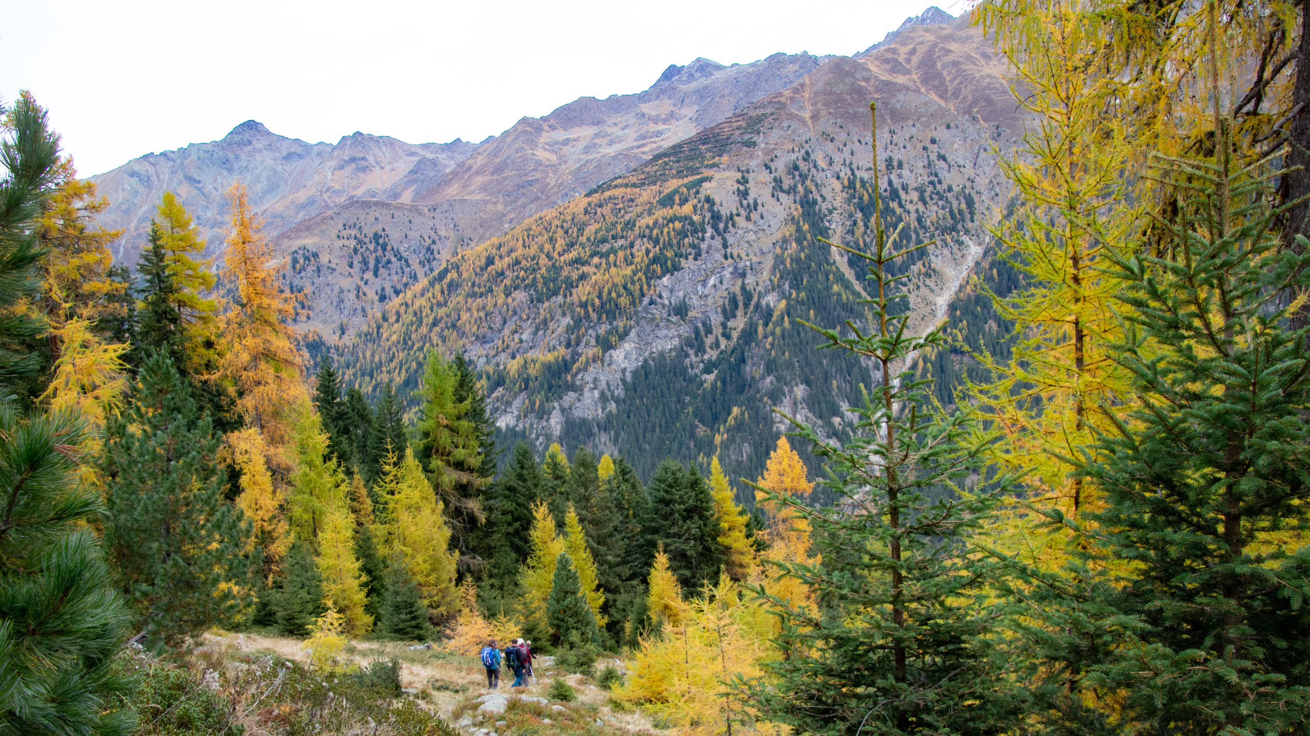 Ski d'automne et randonnées à pieds