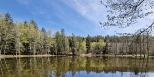 VTT à la Petite Pierre du 27 au 29 mai 2023  