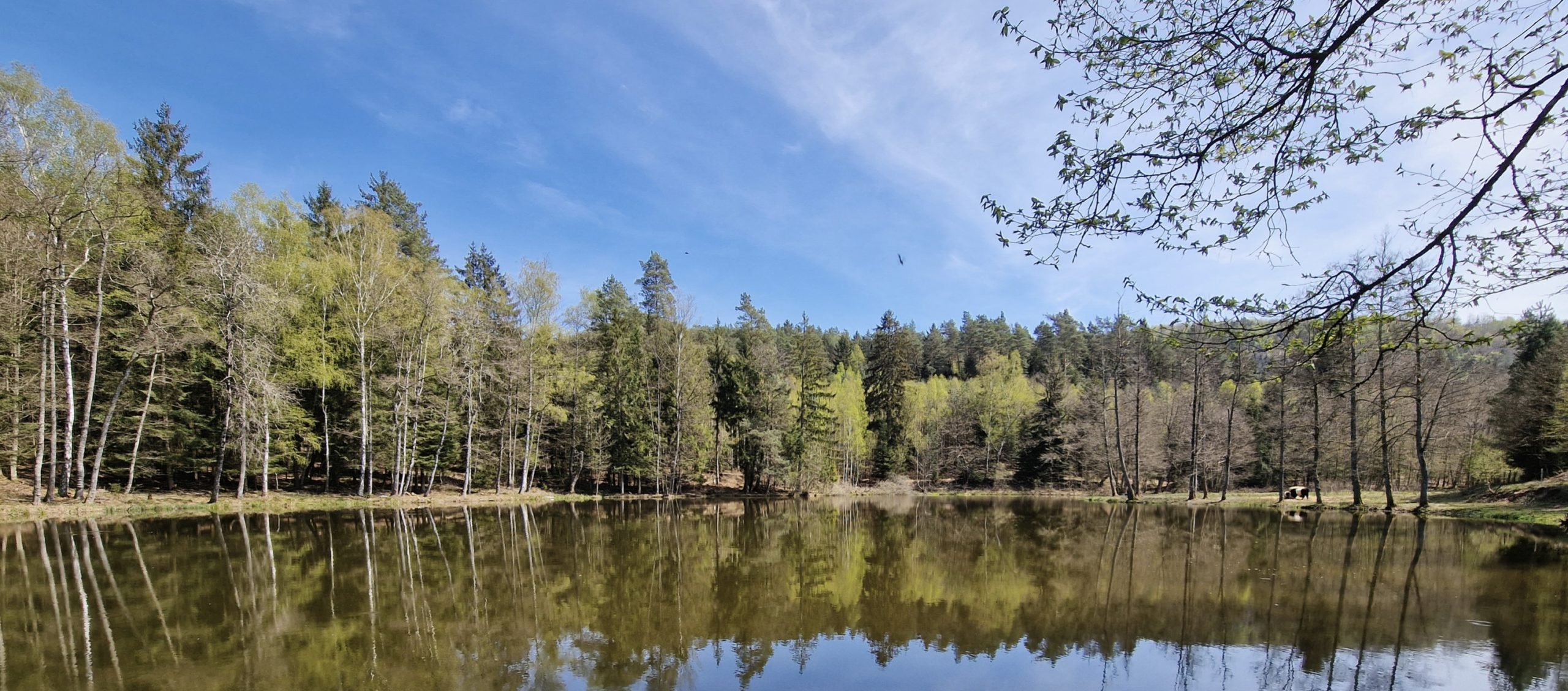 VTT à la Petite Pierre du 27 au 29 mai 2023  